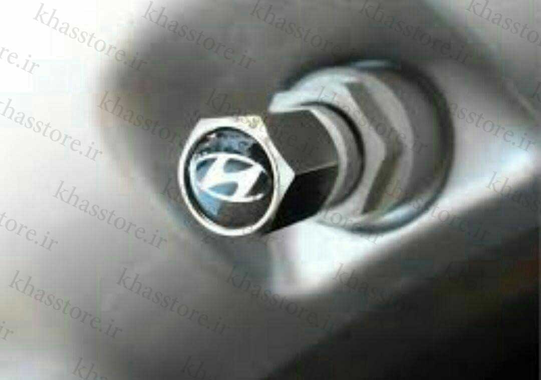 سروالف و جاسوئیچی
