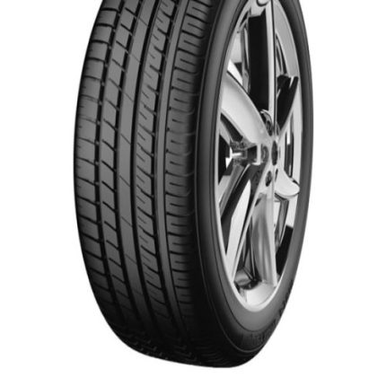 لاستیک 205/60R14 پتلاس امپریوم PT515
