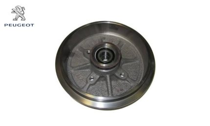 کاسه چرخ عقب پژو 206 تیپ 2 ABS